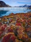 Glacier Sermiligaaq Fjord. Ammassalik area in Greenland, Tasiilaq, autumn Art Print